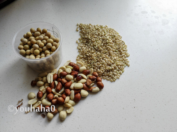 糙米花生豆浆步骤1