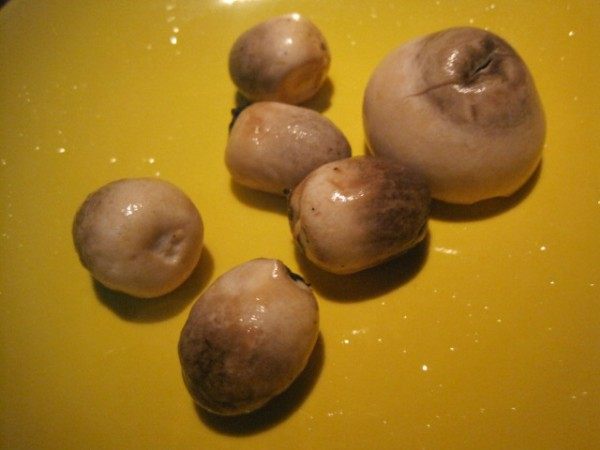 香煎蘑菇饭步骤1