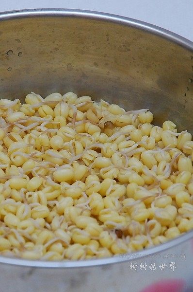发芽豆子糙米饭步骤3