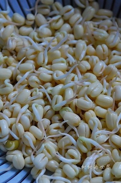 发芽豆子糙米饭步骤1