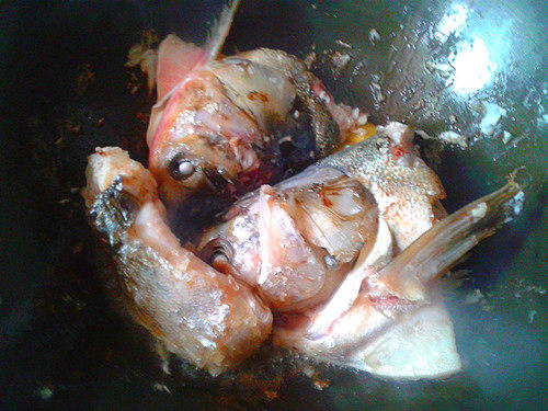 剁椒煮鱼头豆腐步骤4