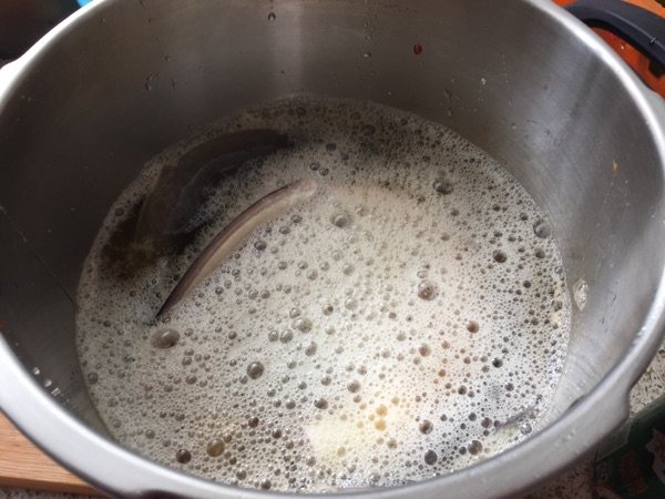 啤酒炖河鳗步骤3